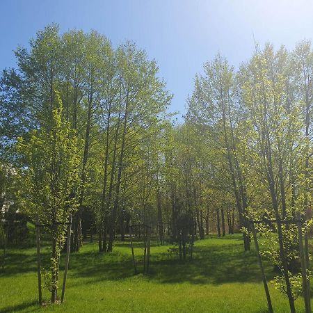 Apartament 3 Pokojowy Lub Pokoj W Mieszkaniu W Nowym Bloku وارسو المظهر الخارجي الصورة